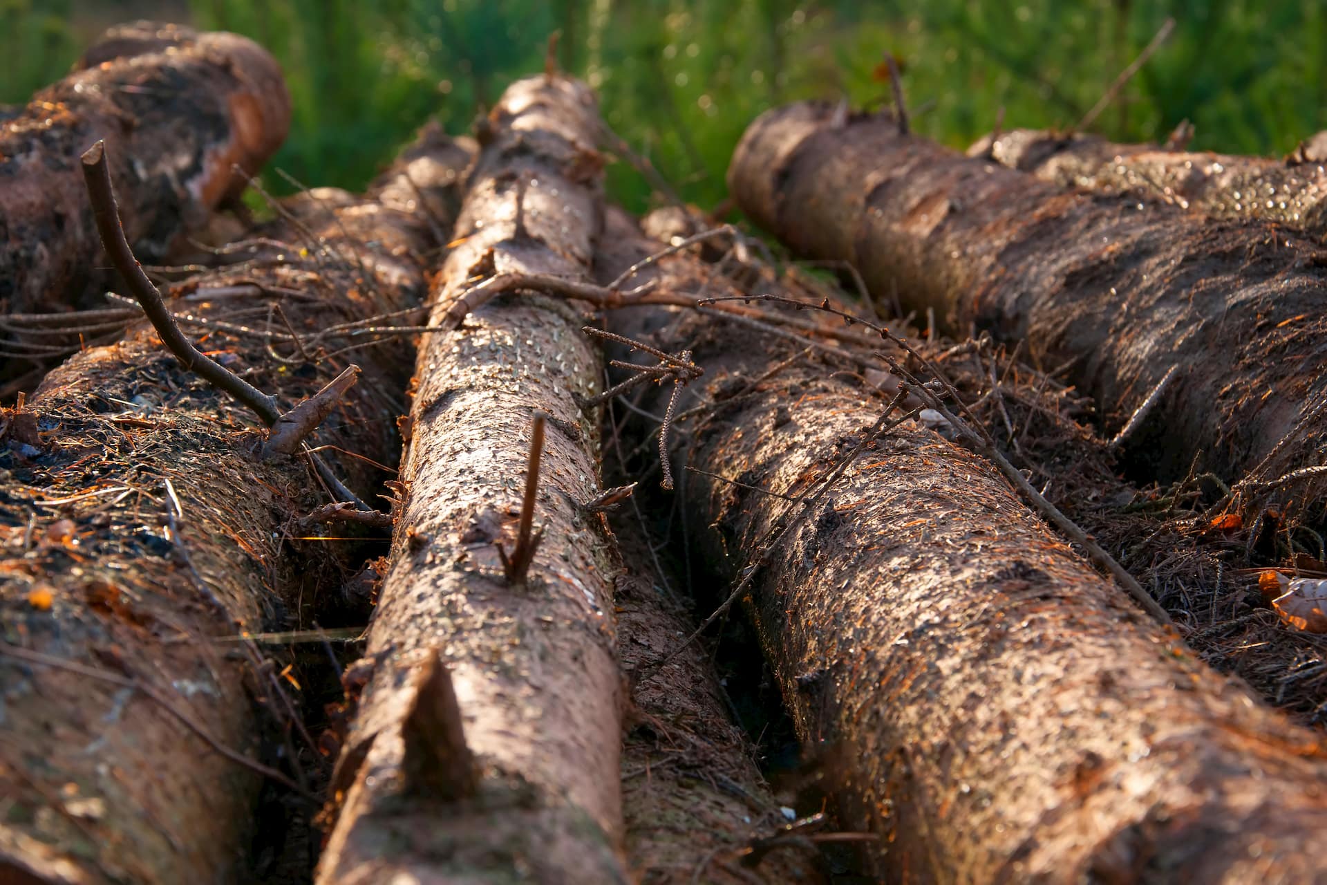 Vos Déchets : Gestion Et Valorisation De Bois | Belmans Recycling