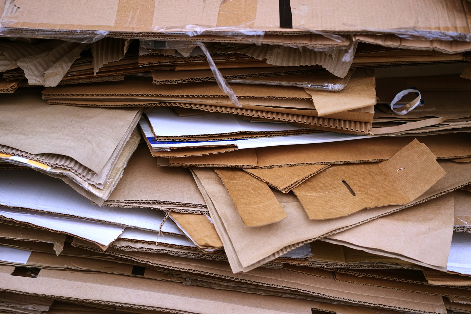 fossiel kopiëren schattig Recyclage van papier en karton | Belmans Recycling